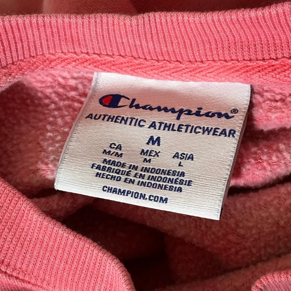 Champion Pink Tie-Dye Sweatshirt and Joggers Set - Picture 9 of 9